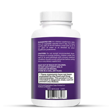 Mushroom 10X for Focus, Immunity & Daily Resilience view 3