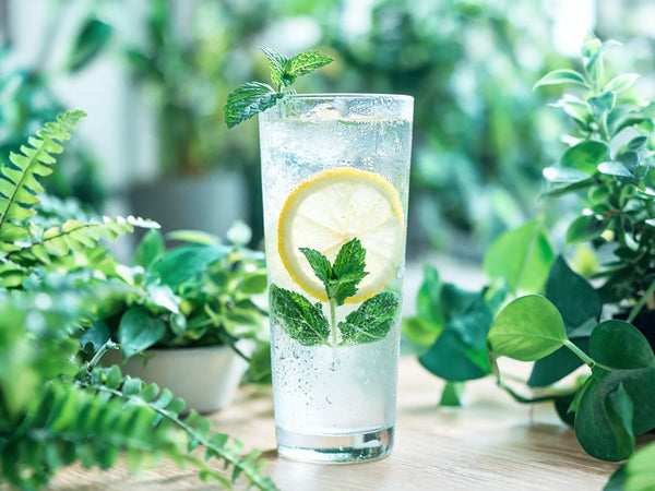 What Does Milk Thistle Actually Do for Your Liver?