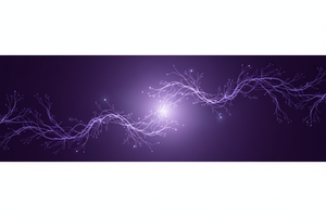 Neuro Plus Reviews: What It Does, What's Inside, and Why People Keep Coming Back